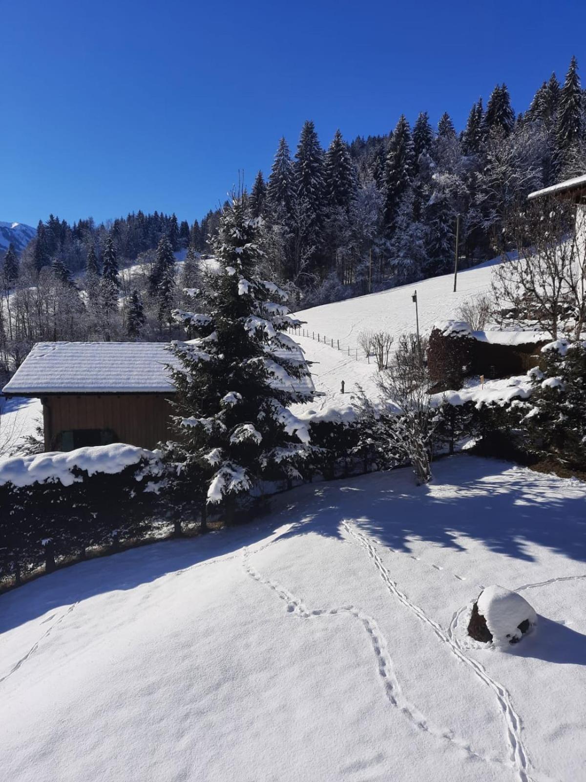 Berghof Mehlan Hotel Fischen im Allgaeu Værelse billede